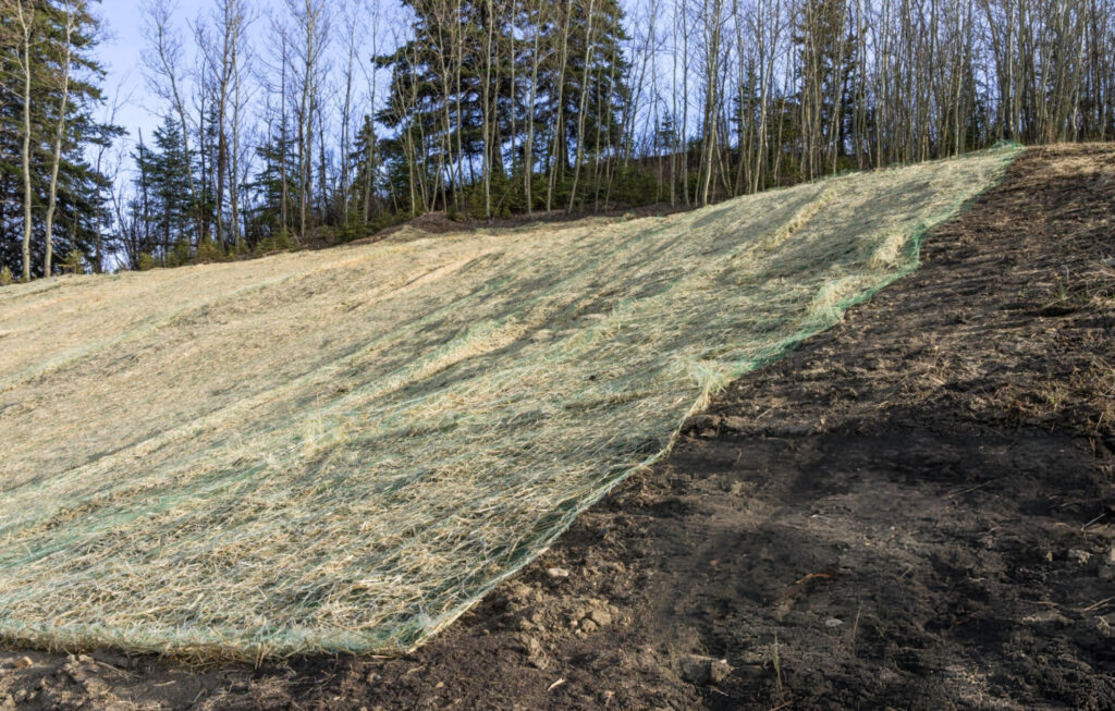 Soil Stabilization in Alafaya, FL